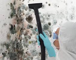 Best Forensic Mold Investigation  in Green Valley, SD